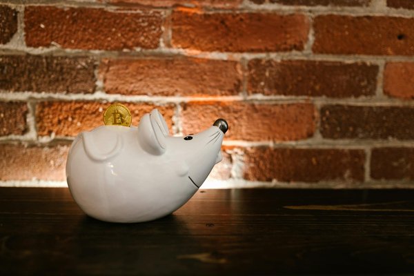 Top 5 raisons de choisir une assurance dommage ouvrage pour vos projets